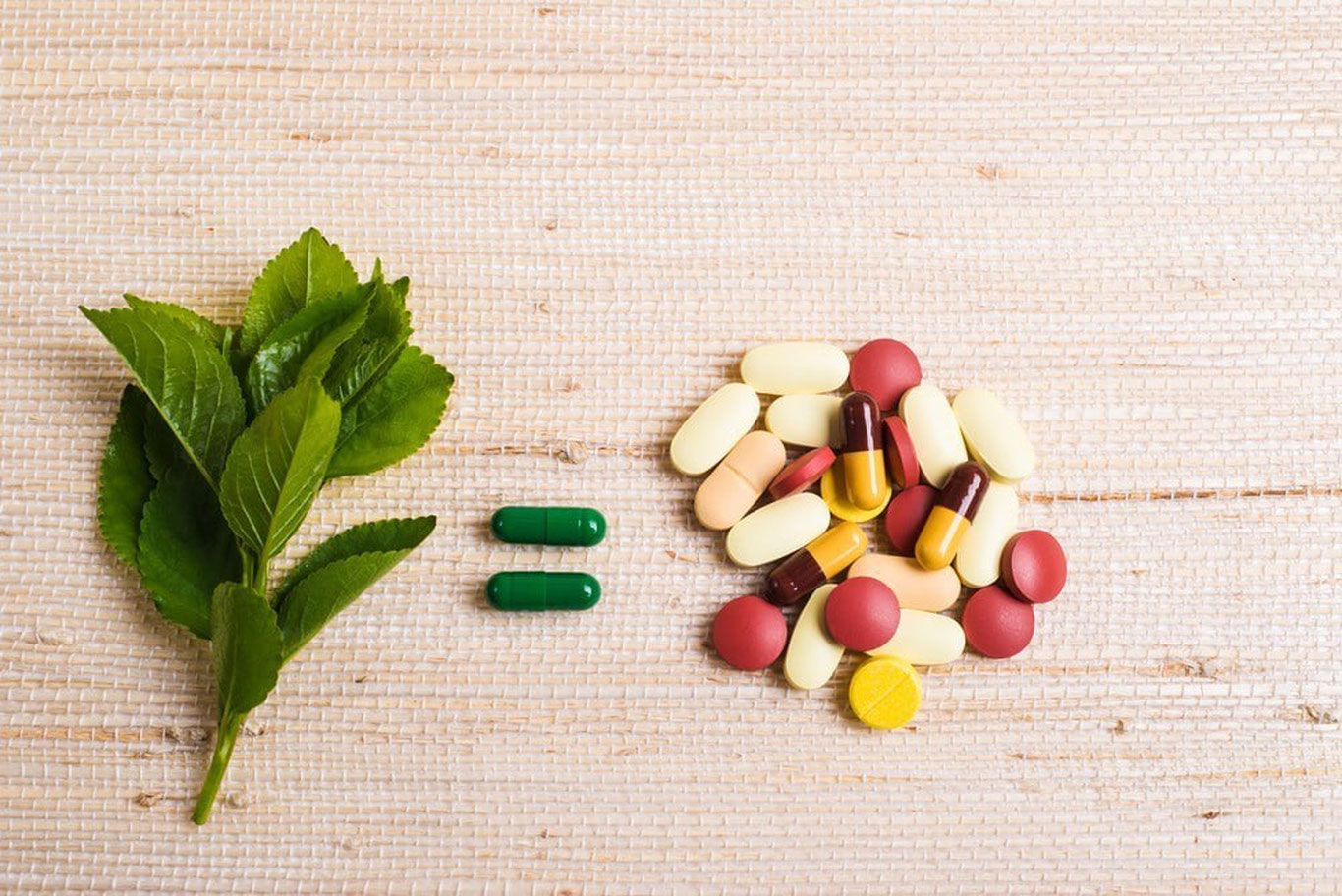 Фитотерапия қайси касалликларга фойдали?