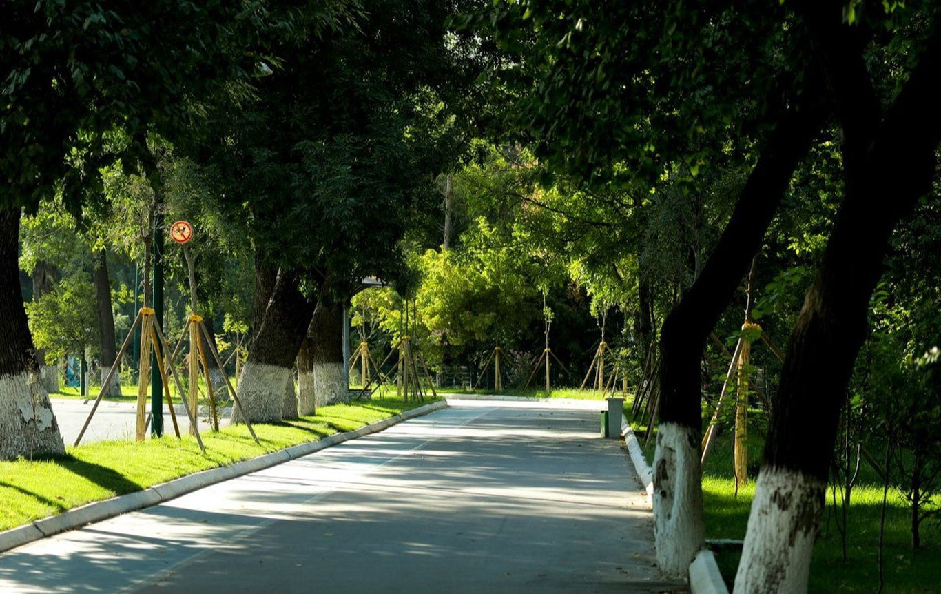 O‘zbekistonda 29-iyul kuni kuzatiladigan ob-havo maʼlumoti eʼlon qilindi