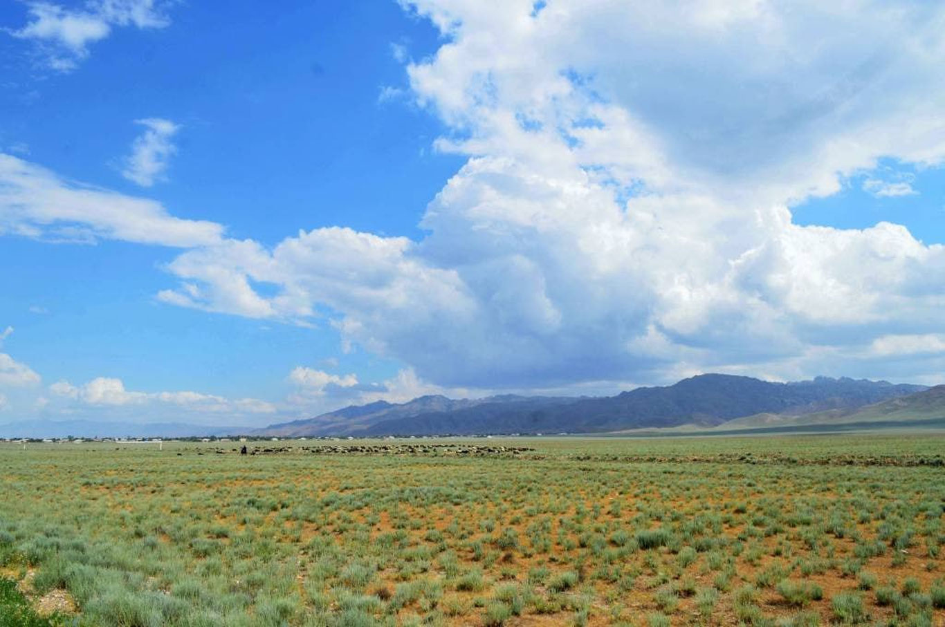 Ўзбекистонда 31 июль куни кузатиладиган об-ҳаво маълумоти эълон қилинди