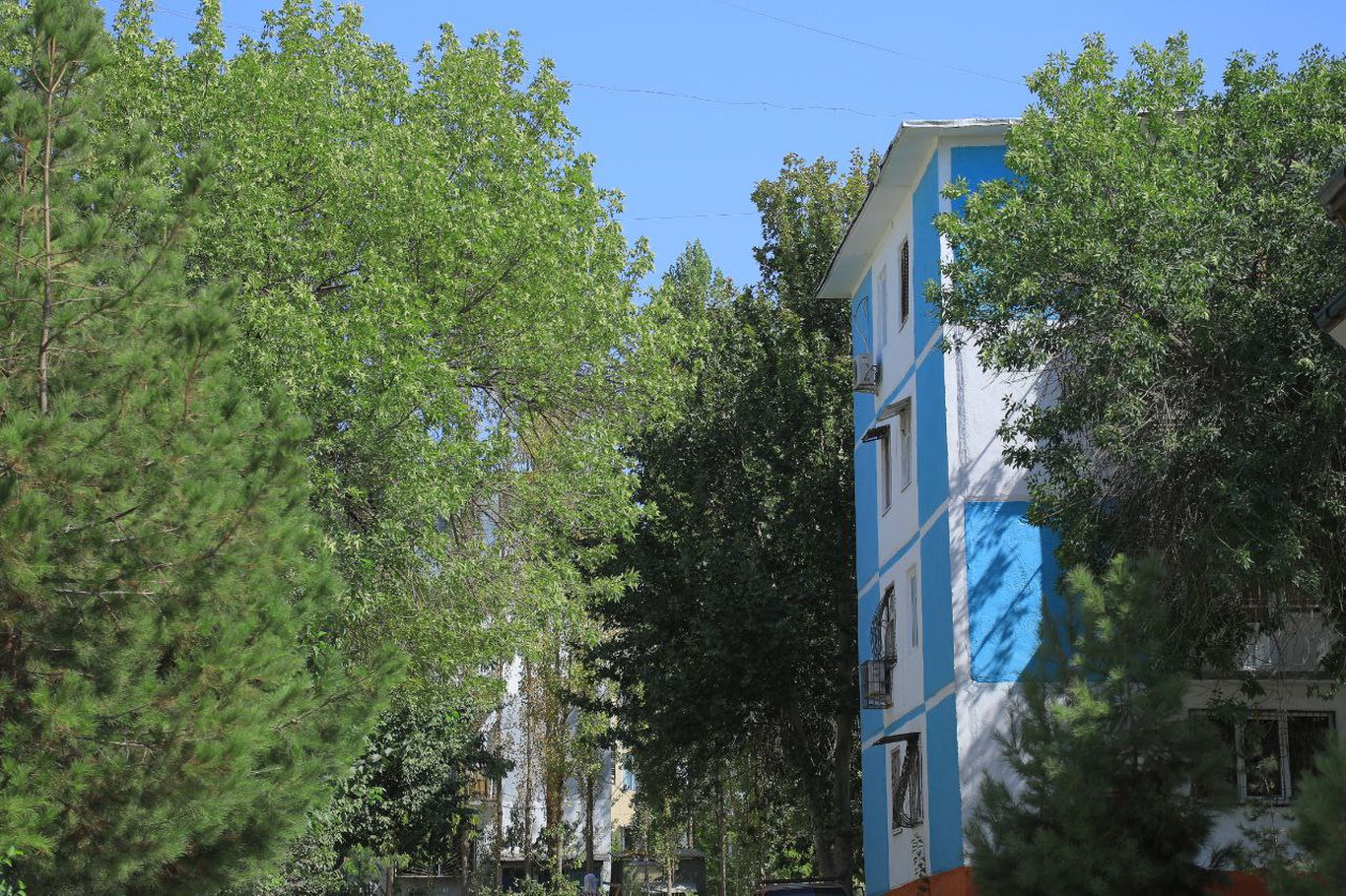 “O‘zgidromet” 18-avgust uchun ob-havo prognozini e’lon qildi