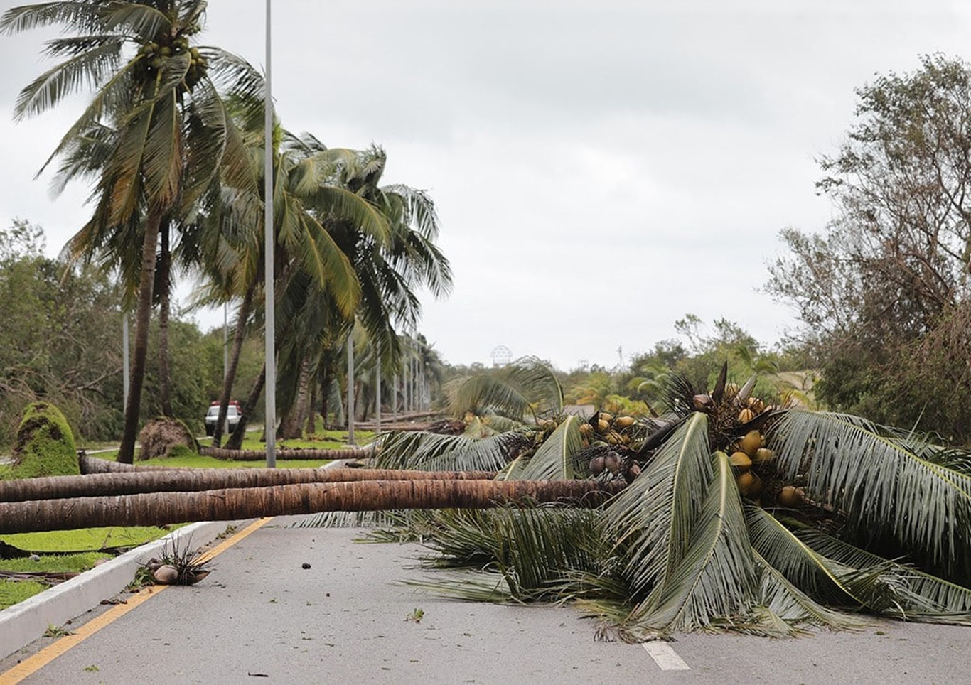 Макка шаҳрига бўрон ёпирилди — видео