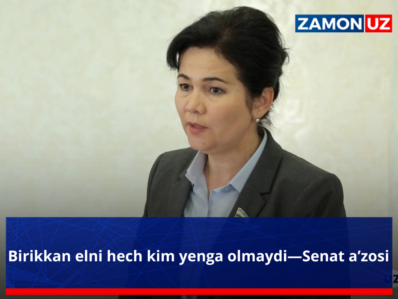 Birikkan elni hech kim yenga olmaydi—Senat a’zosi