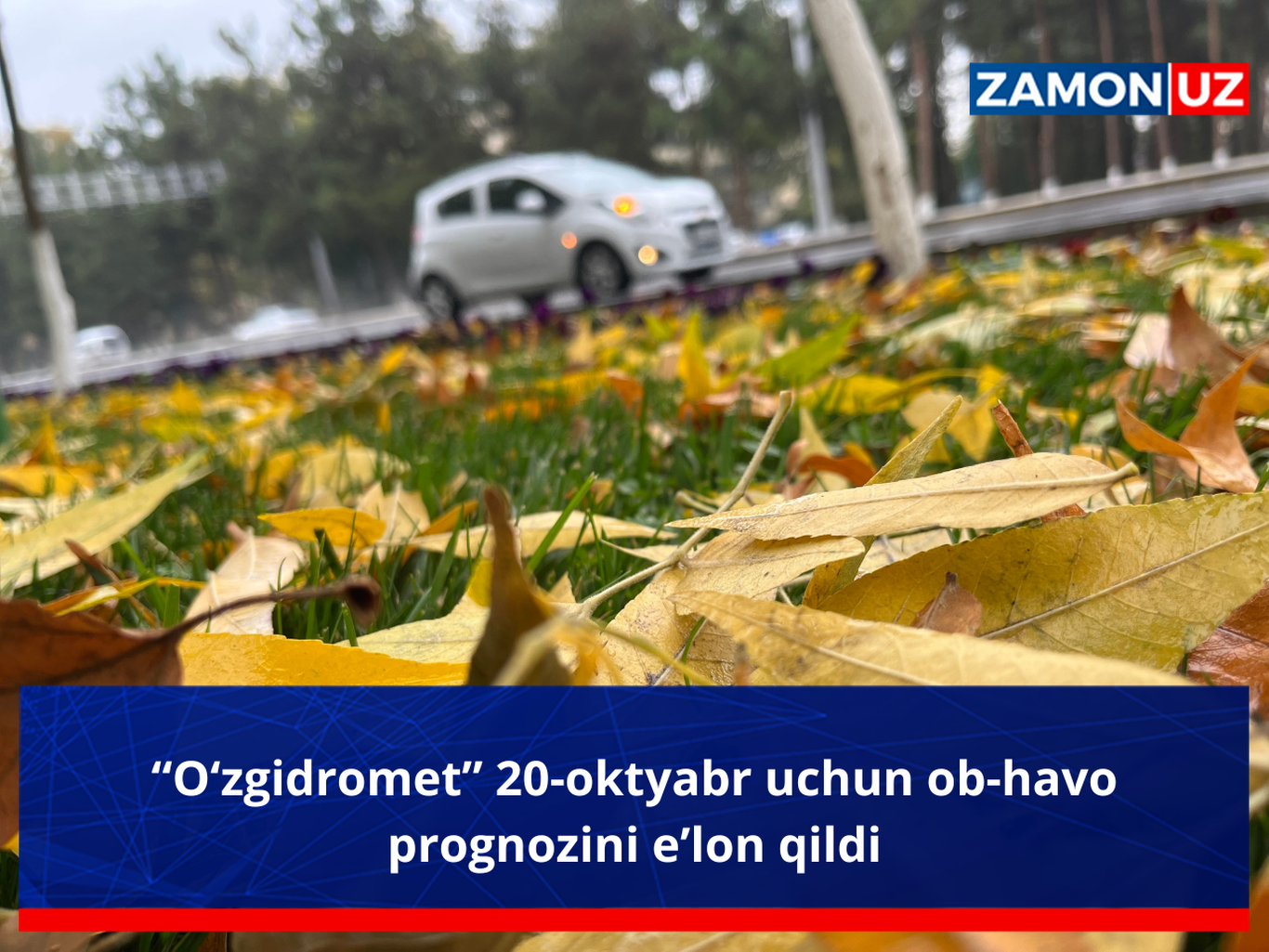 “O‘zgidromet” 20-oktyabr uchun ob-havo prognozini e’lon qildi