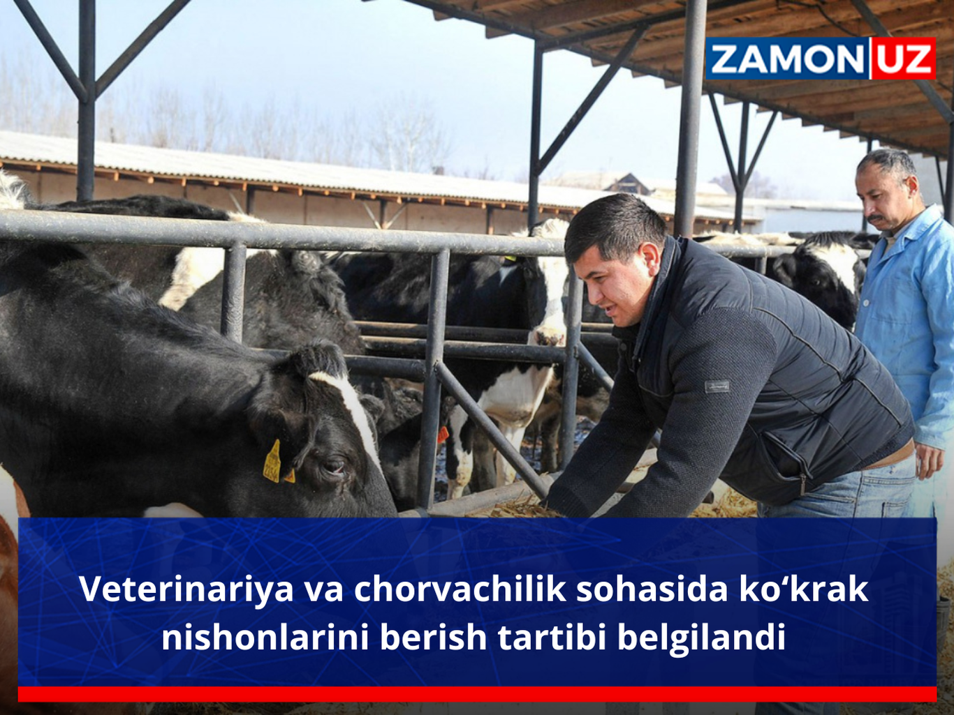 Veterinariya va chorvachilik sohasida ko‘krak nishonlarini berish tartibi belgilandi