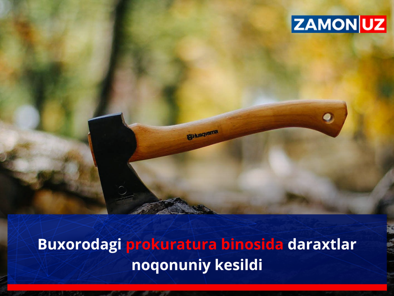 Buxorodagi prokuratura binosida daraxtlar noqonuniy kesildi
