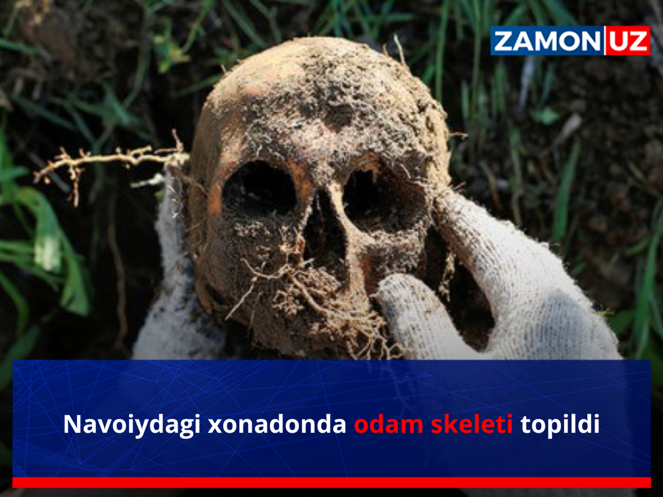 Навоийдаги хонадонда одам скелети топилди