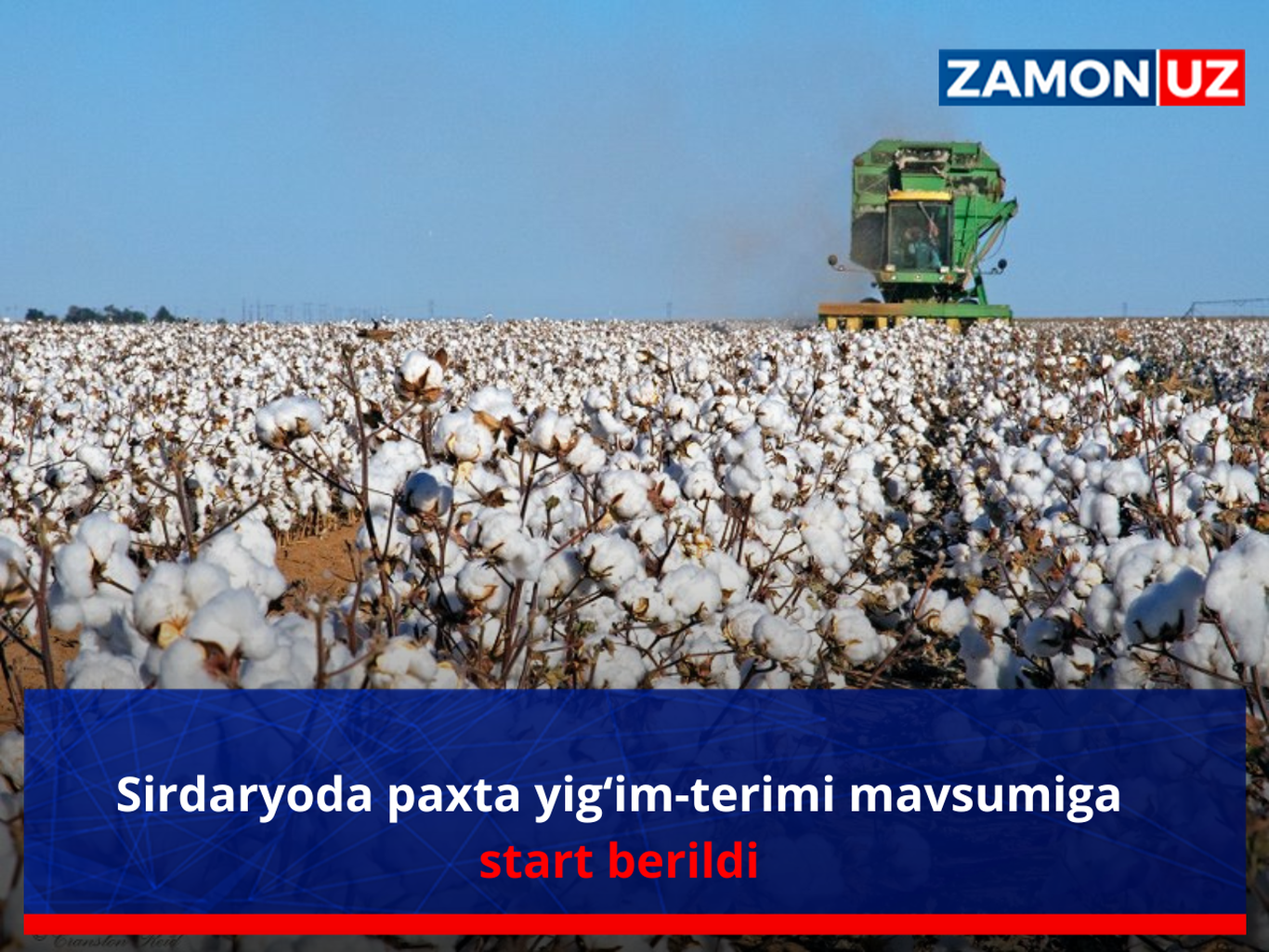 Sirdaryoda paxta terimi boshlandi