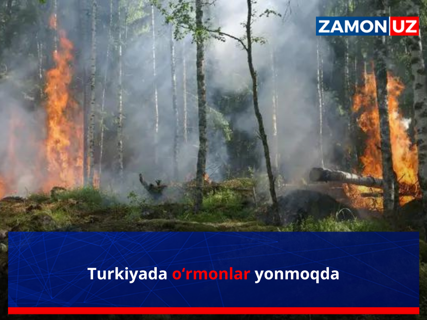 Turkiyada yana o‘rmonlar yonmoqda