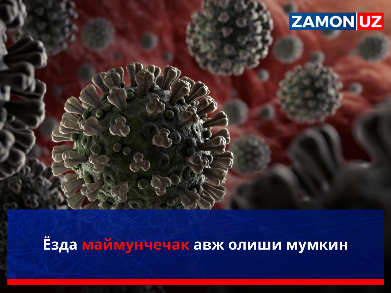 Ёзда маймунчечак авж олиши мумкин