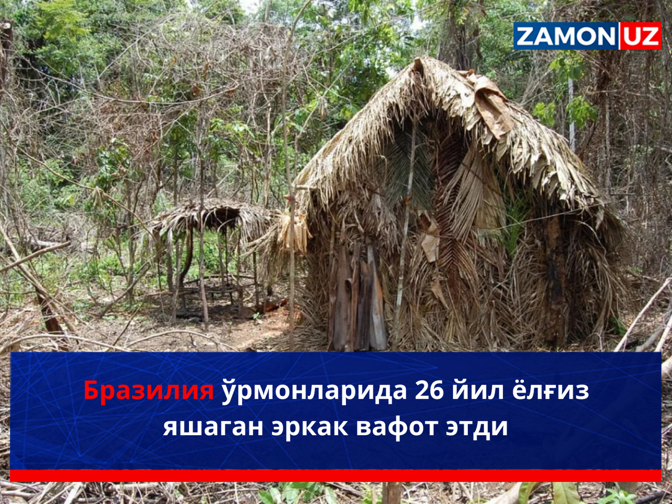 Бразилия ўрмонларида 26 йил ёлғиз яшаган эркак вафот этди
