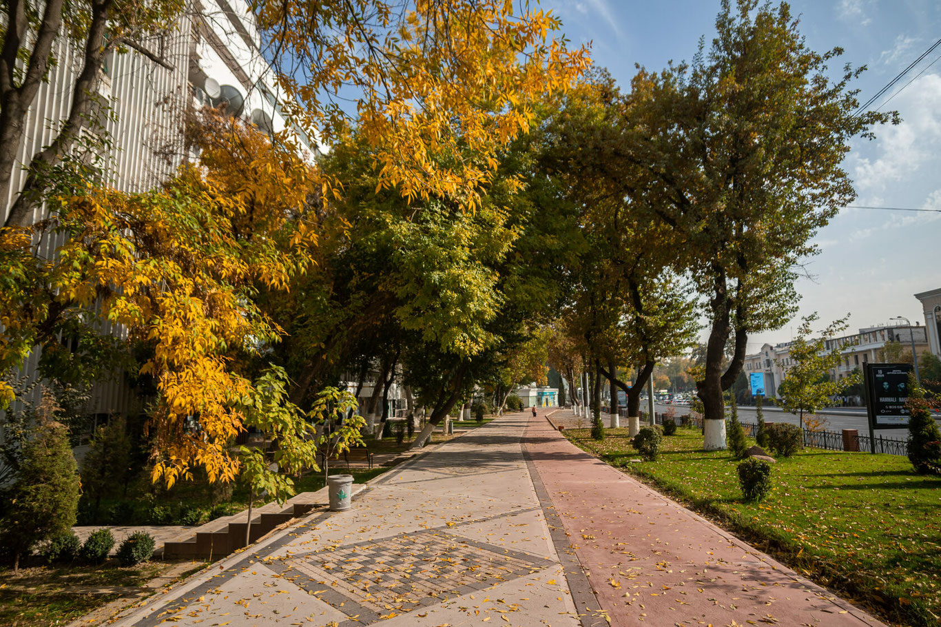 Bugun O‘zbekistonda kuchli shamol bo‘lishi kutilyapti