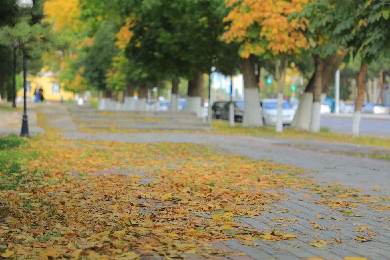 Bugun O‘zbekistonda qisqa muddatli yomg‘ir yog‘adi