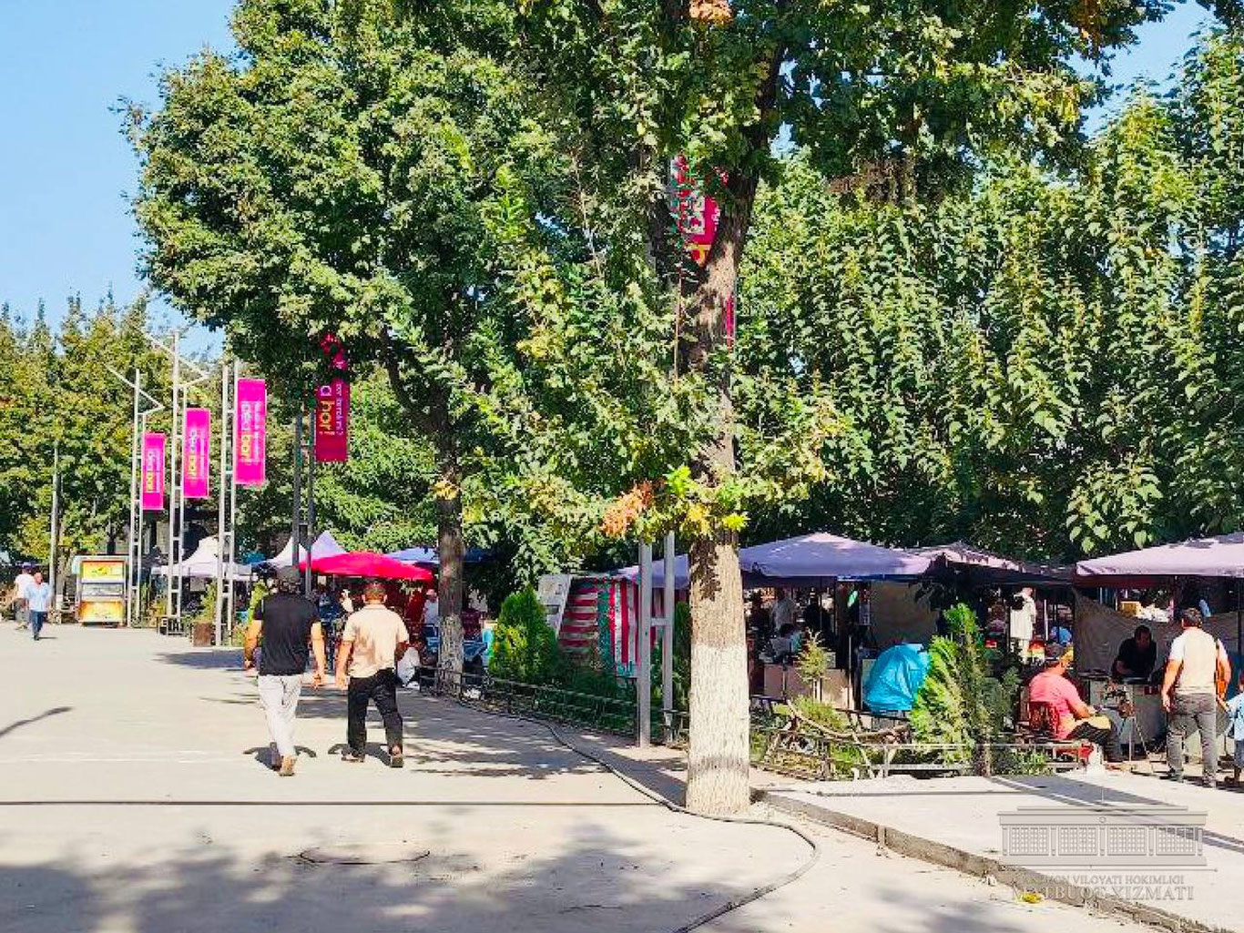 Андижонда дарахтлар ноқонуний кесилиб, дўкон қурилгани айтилди