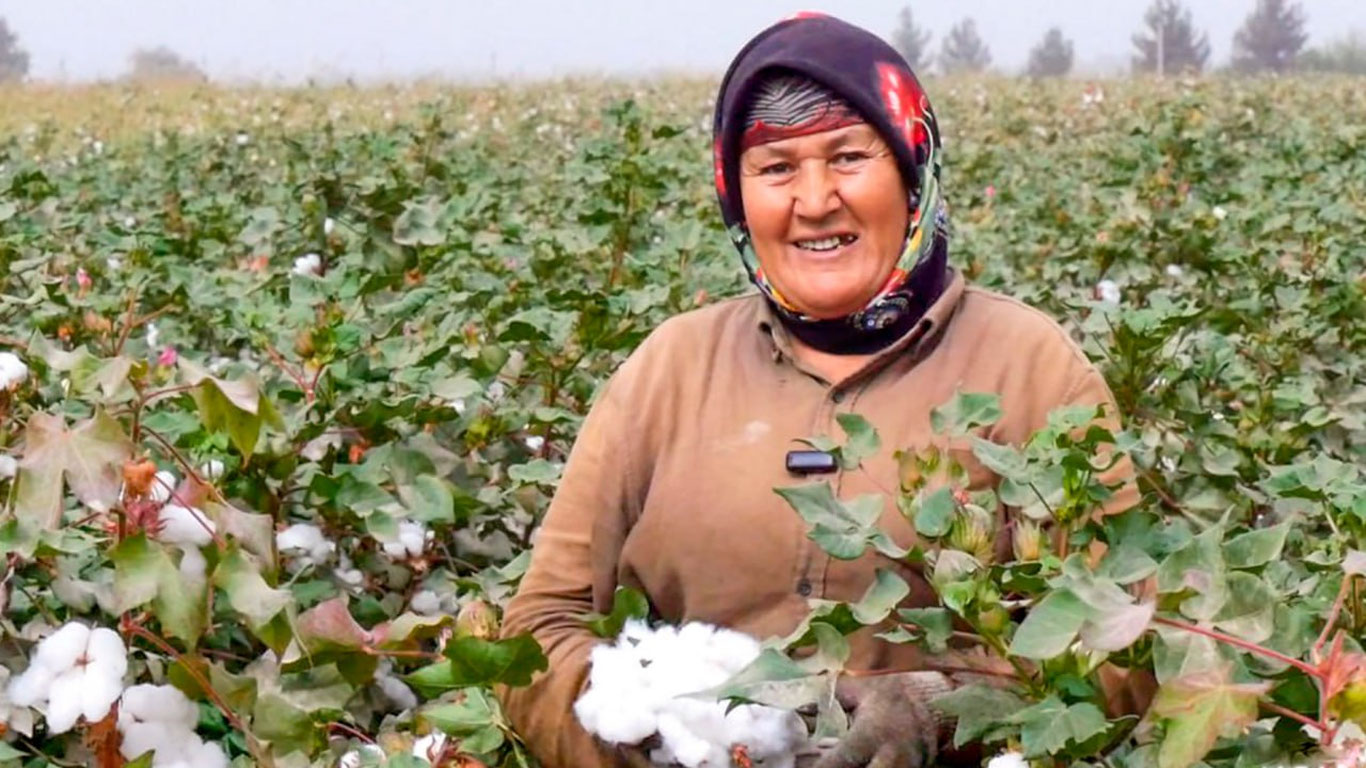 Momogul Mamatqulova kuniga 200 kg paxta termoqda