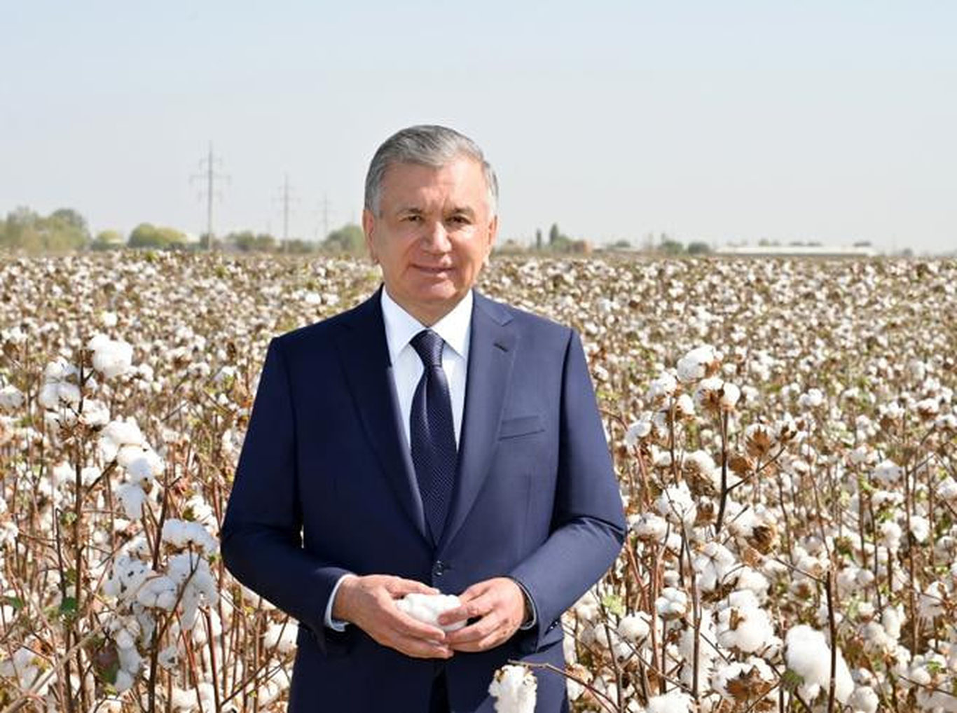 Ўзбекистонда пахта қуллиги тугади, терим энди «жазо» эмас
