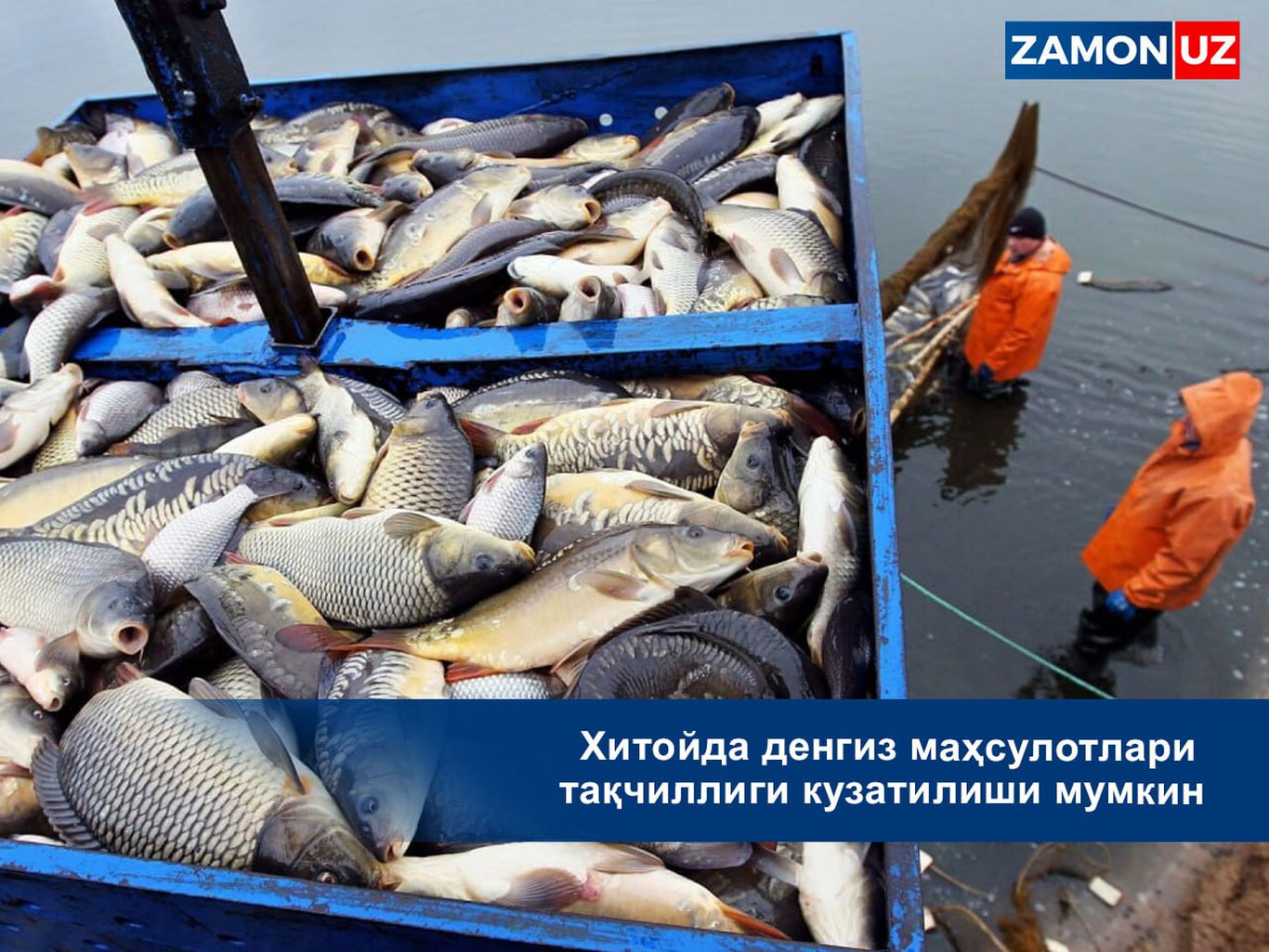 Хитойда денгиз маҳсулотлари тақчиллиги кузатилиши мумкин