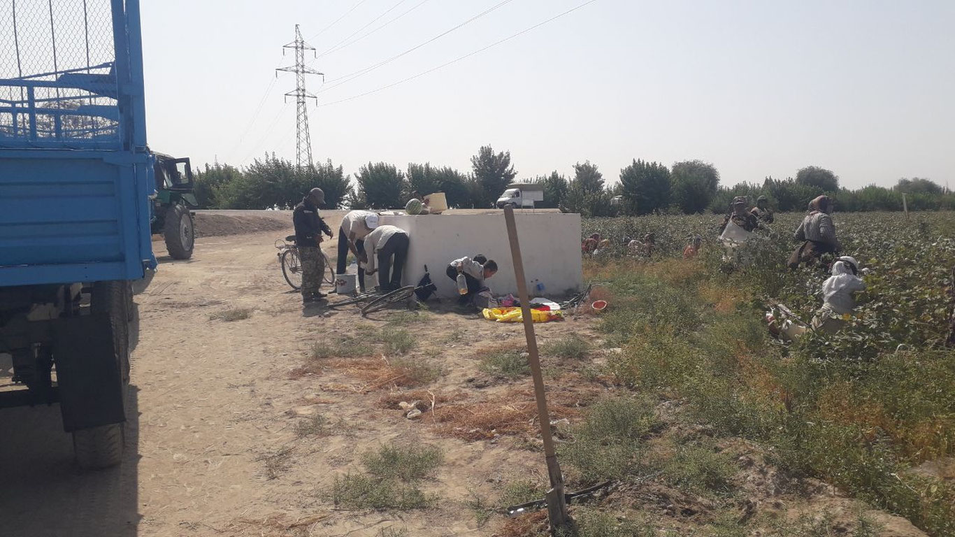 "Paxta qulligi" yana boshlandimi?