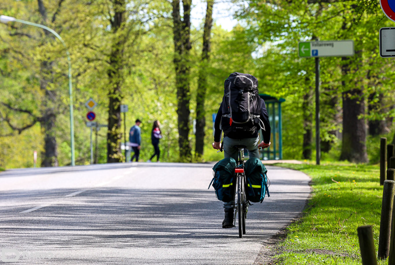 Ekologiya vazirligi barchani jamoat transportidan foydalanishga chaqirdi