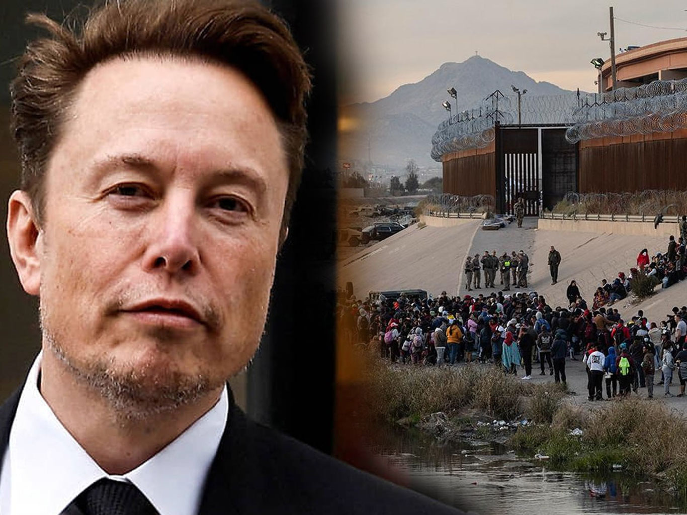 Илон Маск мигрантга айланди