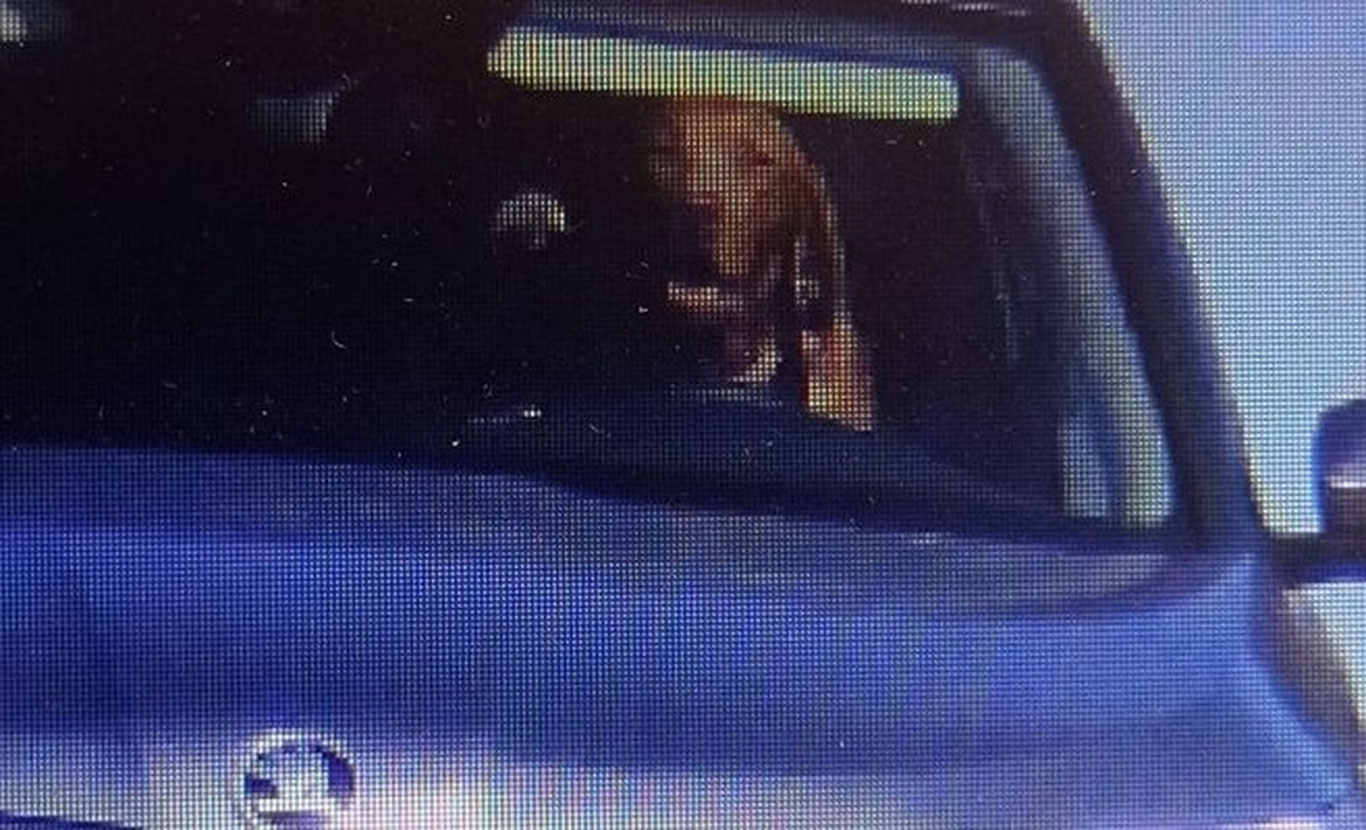 Словакияда ит машина ҳайдаб, полицияни ҳайратга солди