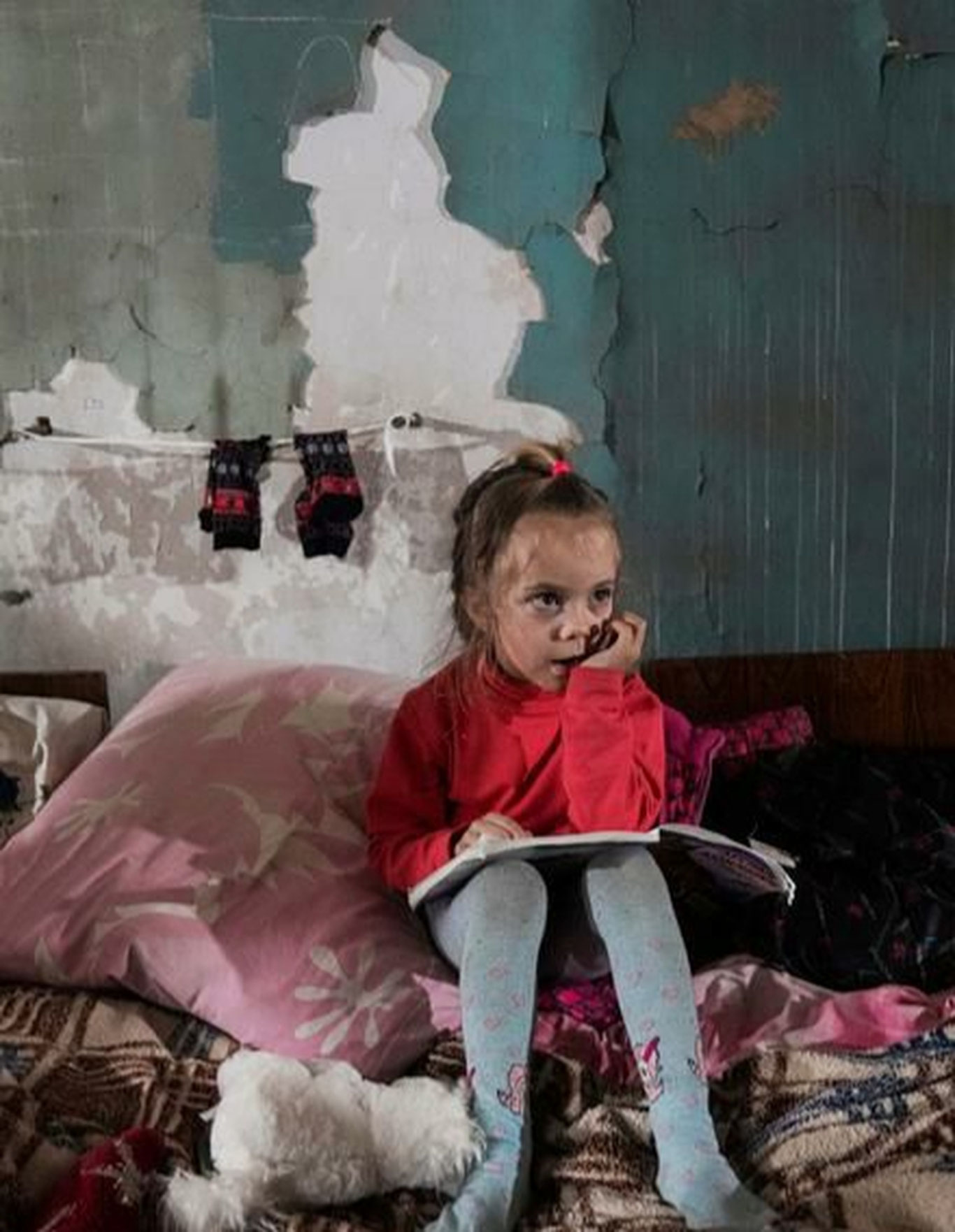 Украинада можаро давридаги жиноятлар бўйича ҳисобот эълон қилинди