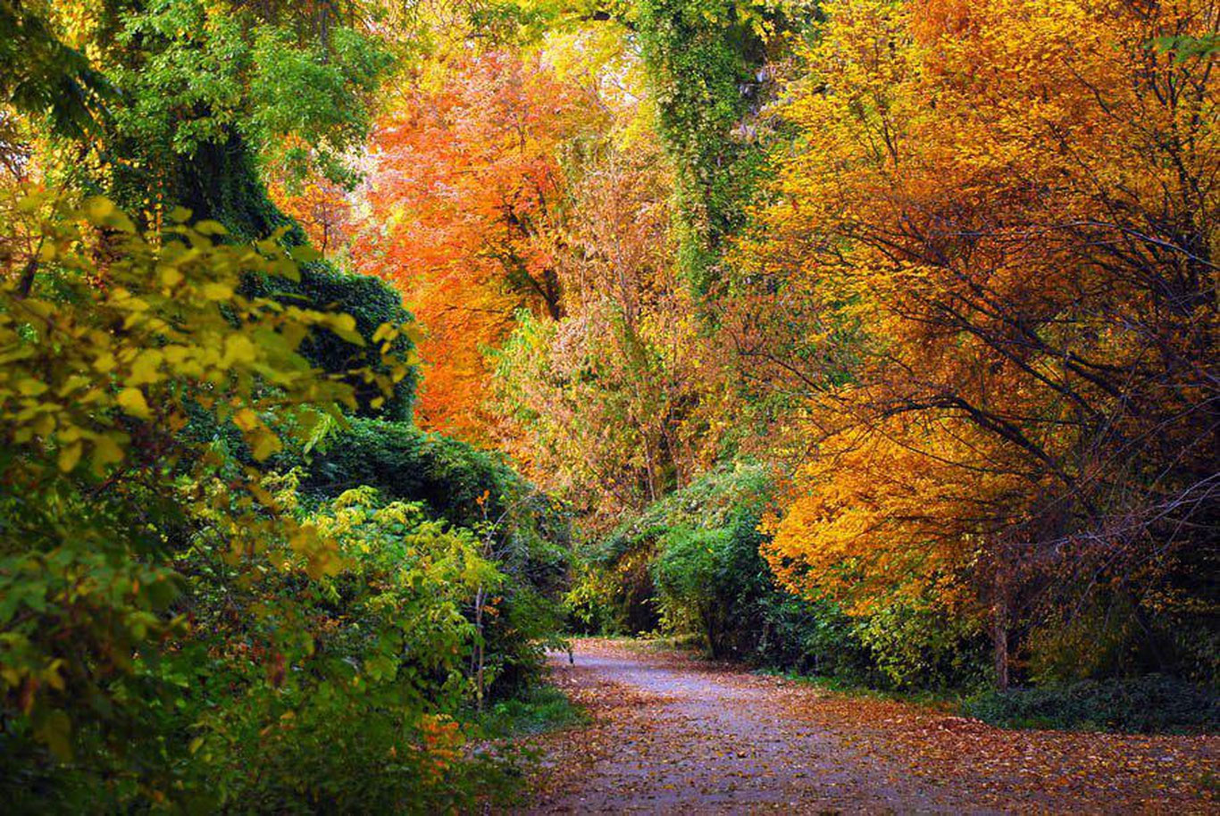 Ботаника боғи Тошкент шаҳар ҳокимлиги балансига ўтказилмоқда