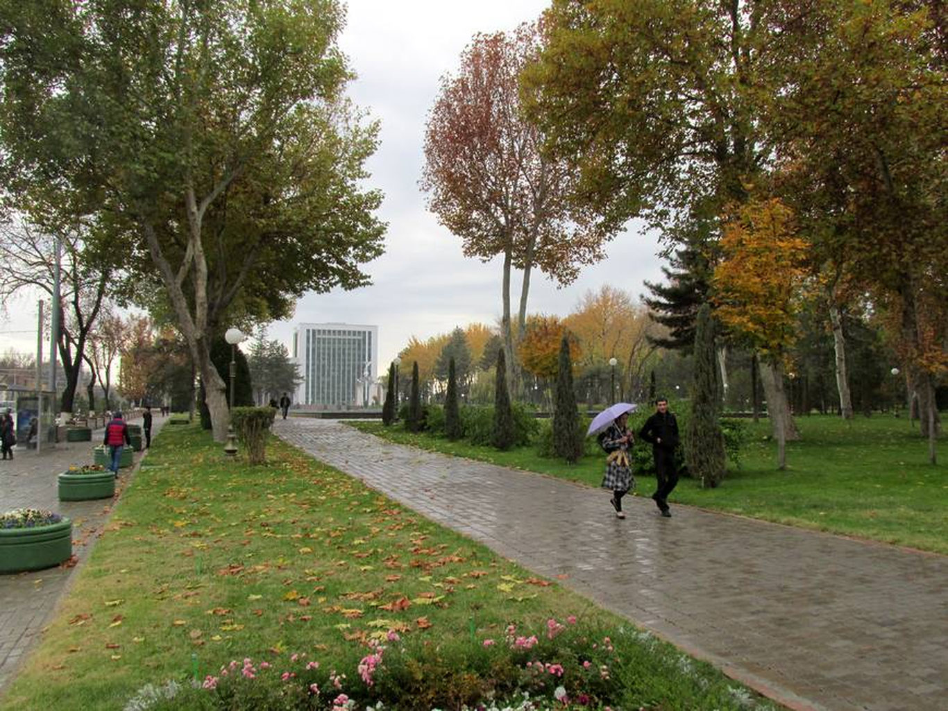 Bugun O‘zbekistonda yomg‘ir yog‘ishi kutilyapti