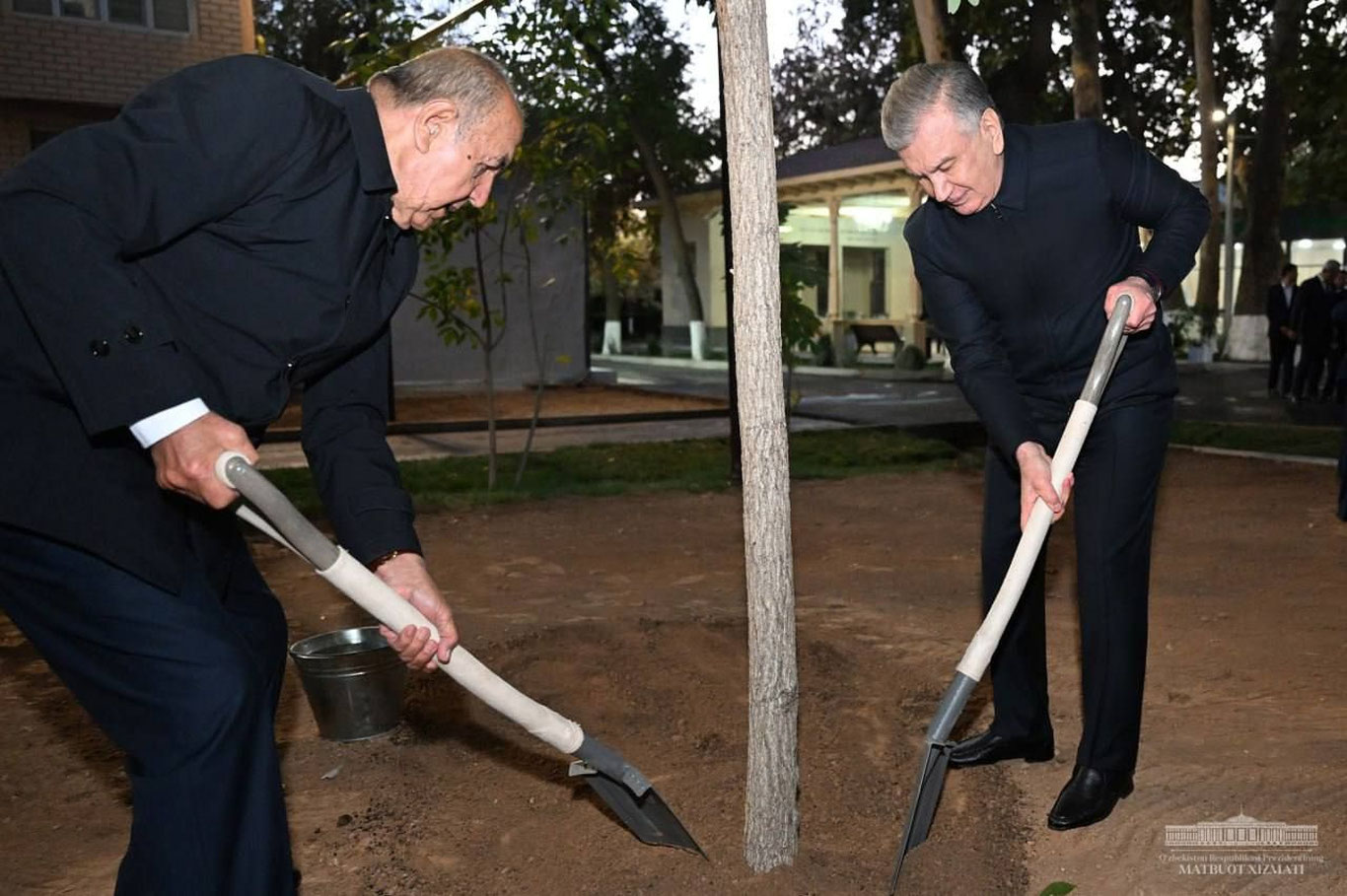 Prezident Chilonzordagi mahalla bog‘iga ko‘chat ekdi
