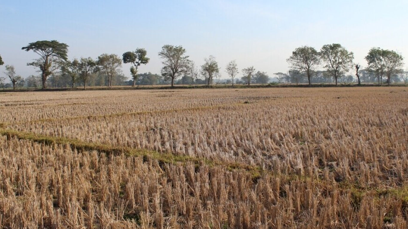 Бали оролида фавқулодда ҳолат эълон қилинди