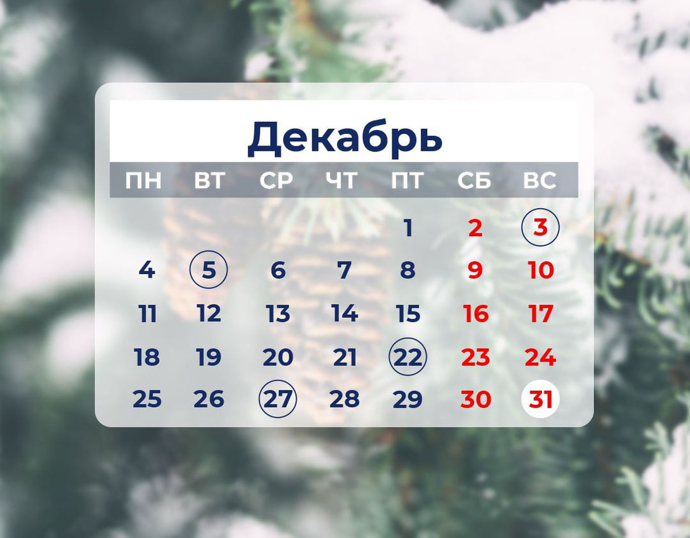 Bugundan qonunchilikda nimalar o‘zgaradi?
