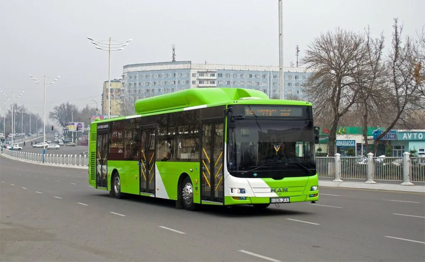 Toshkentda avtobuslar “yashil transport” tizimiga o‘tkaziladi