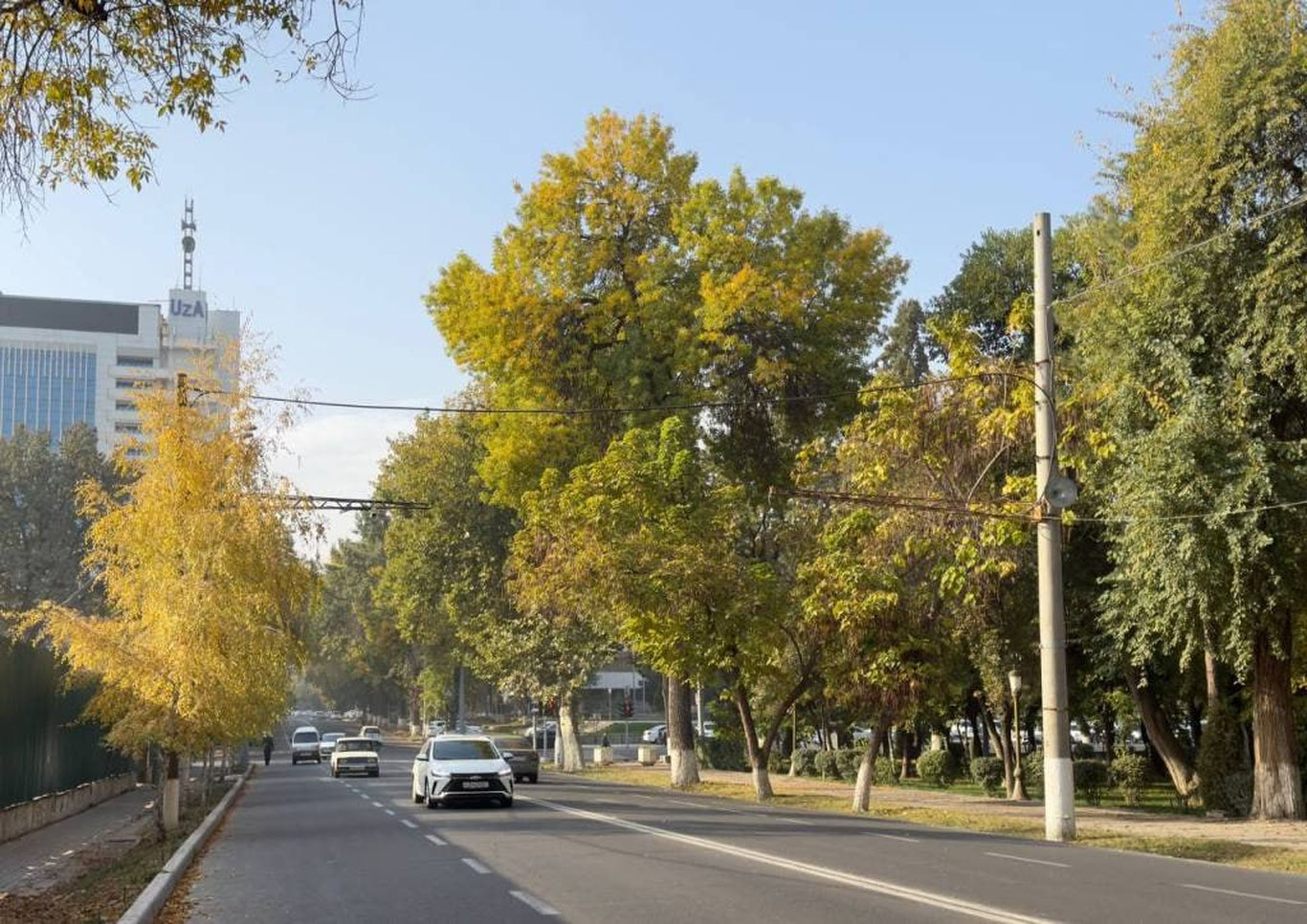 3 dekabr uchun ob-havo prognozi eʼlon qilindi