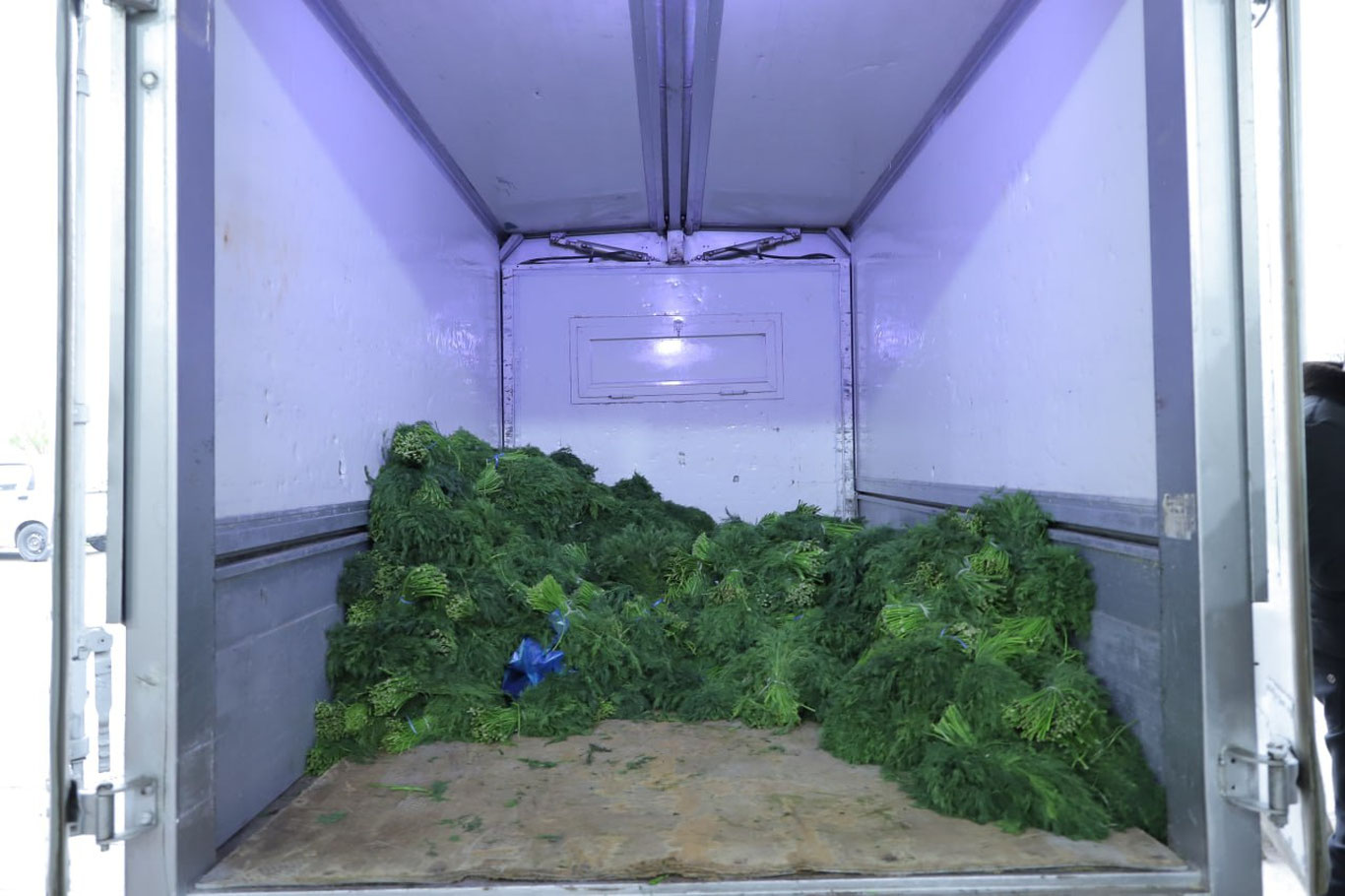 Ko‘katlar ichida pirotexnika vositalari yashirilgani fosh bo‘ldi