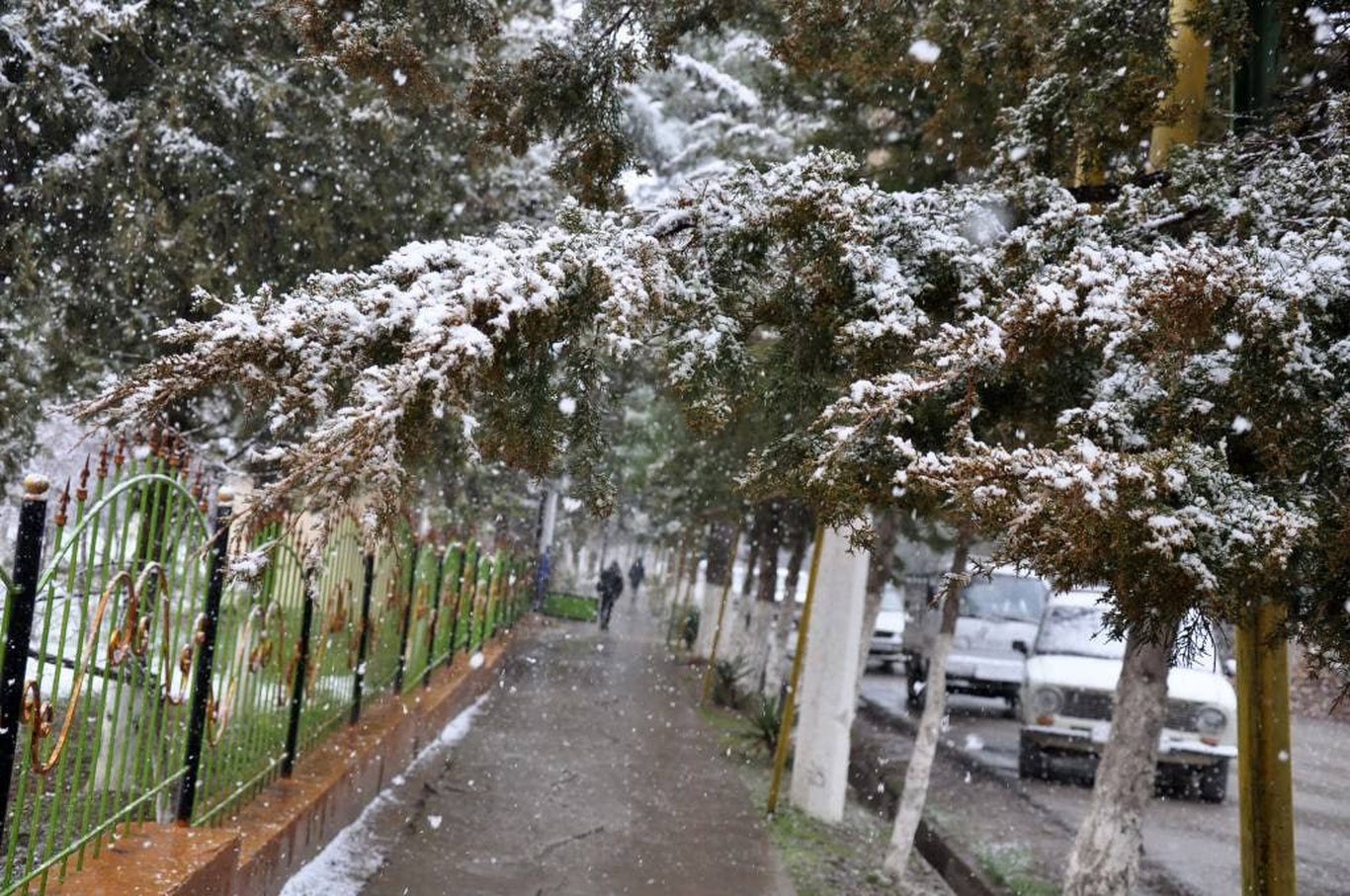 Bugun O‘zbekistonda 20 darajagacha sovuq bo‘ladi