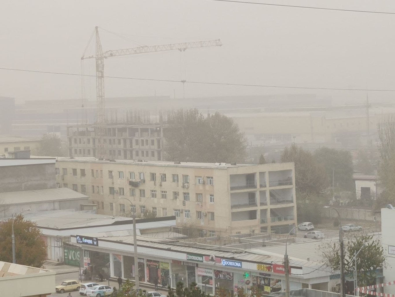 Poytaxtdagi ekologik vaziyatni yaxshilash maqsadida kompleks chora-tadbirlar rejasi ishlab chiqilmoqda