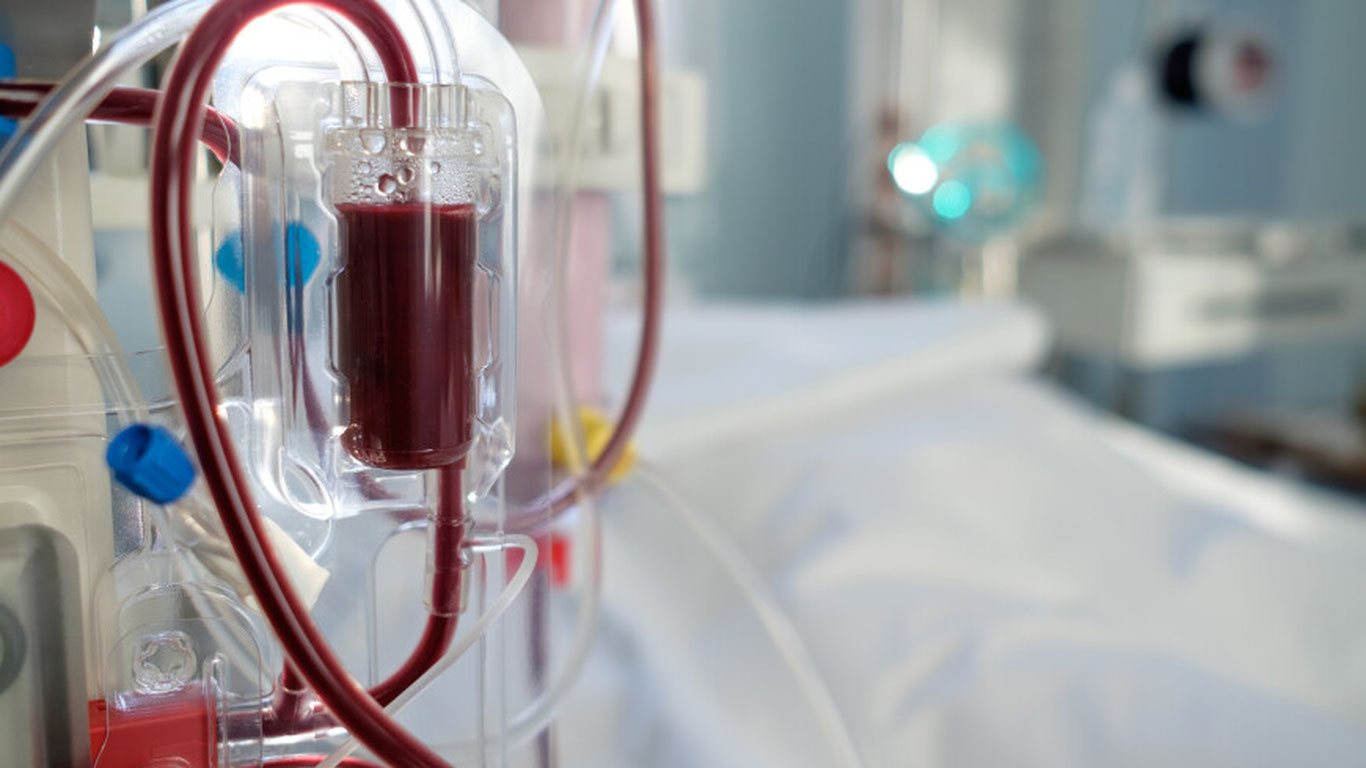 Чўчқа жигари илк бор инсон қонини тозалашда ишлатилди