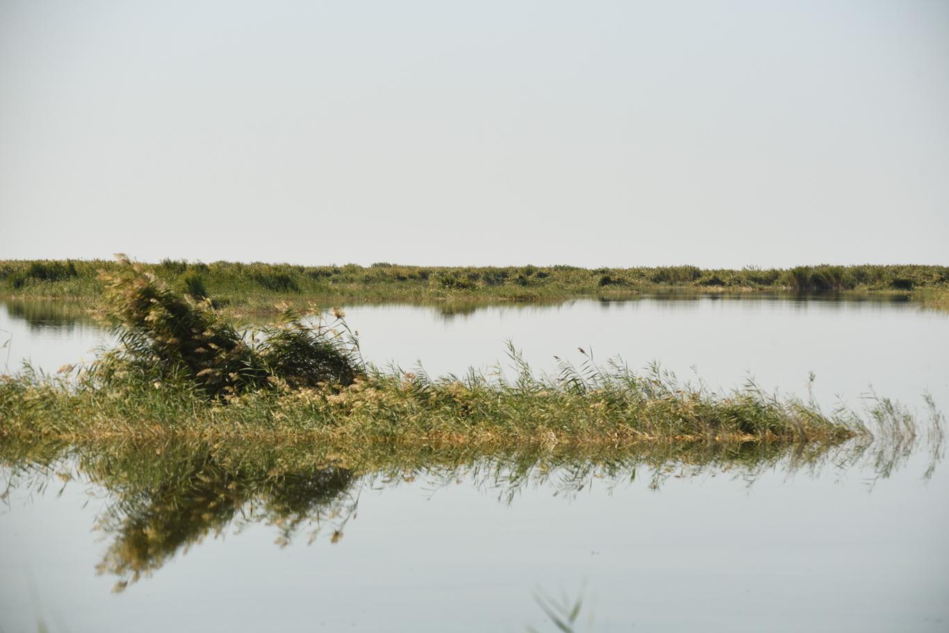 Qoraqalpog‘istondagi Jiltirbas ko‘li Ramsar ro‘yxatiga kiritildi