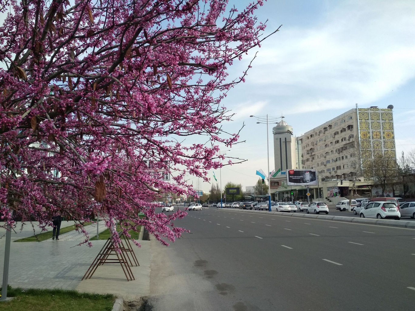 Рамазоннинг илк кунида қандай об-ҳаво кутиляпти?