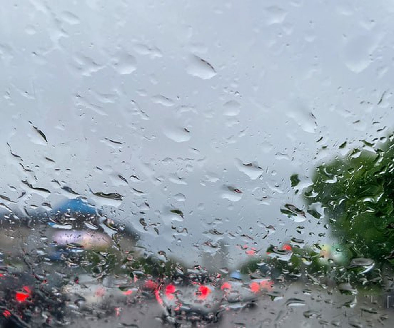 Самарқанд ва Жиззахнинг айрим ҳудудлари электр таъминотисиз қолди