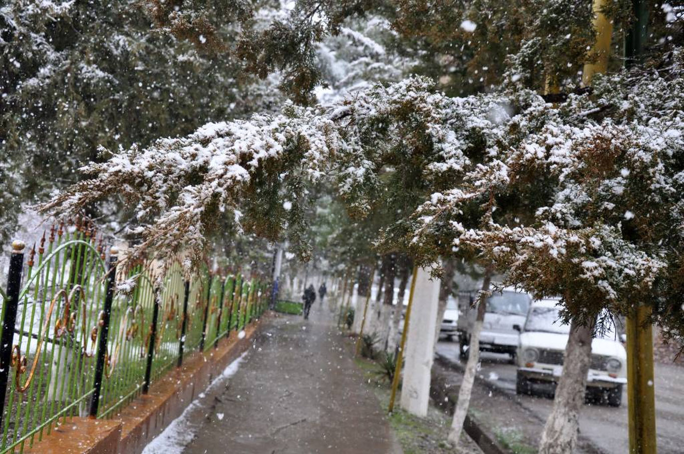 14 март учун об-ҳаво прогнози эълон қилинди