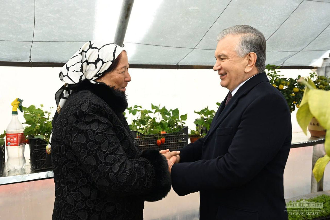 Президент Сирдарёда намунавий томорқаларни бориб кўрди