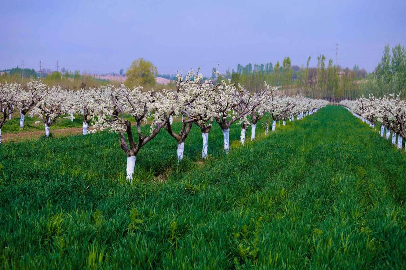 3 апрель учун об-ҳаво прогнози эълон қилинди