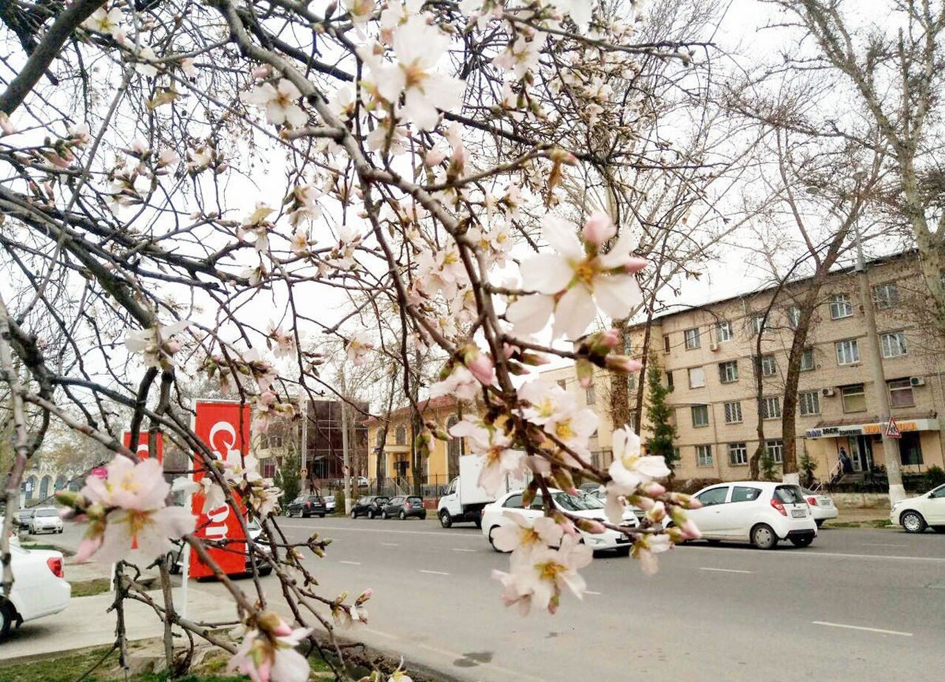 Бугун ёғингарчилик кузатилмайди
