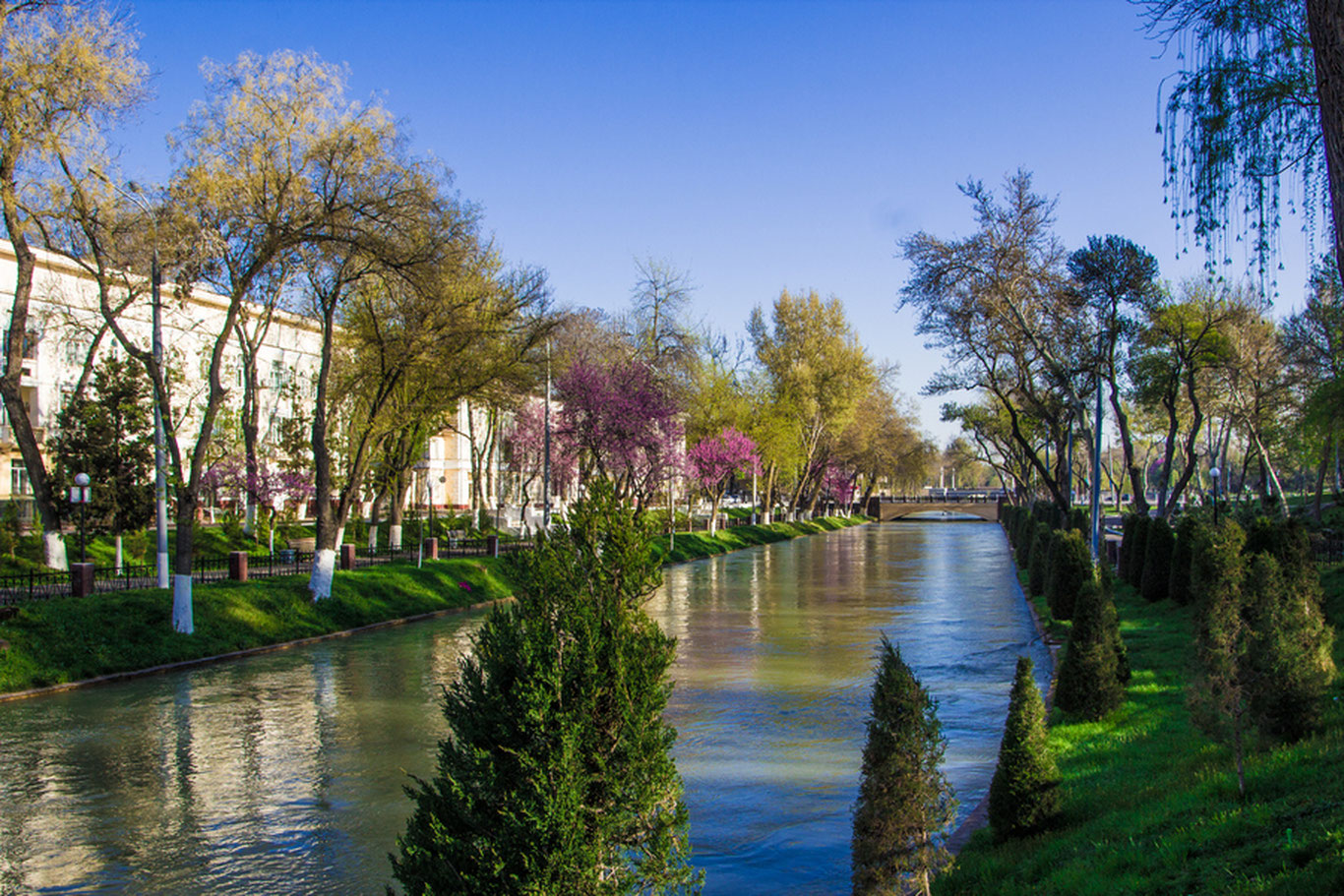 Bugun O‘zbekistonda havo harorati pasayadi