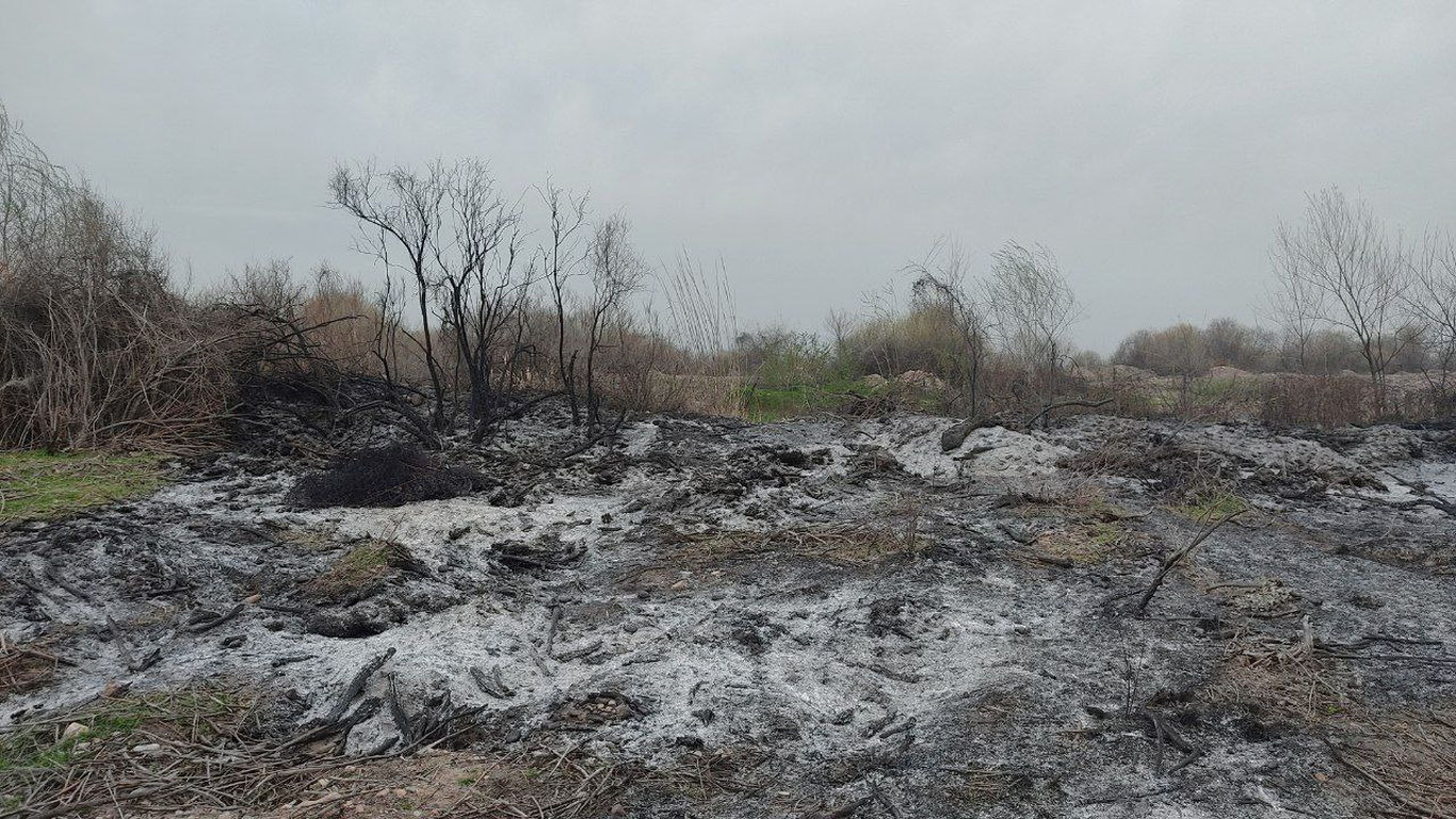 Оҳангаронда боғ ёқиб юборилди