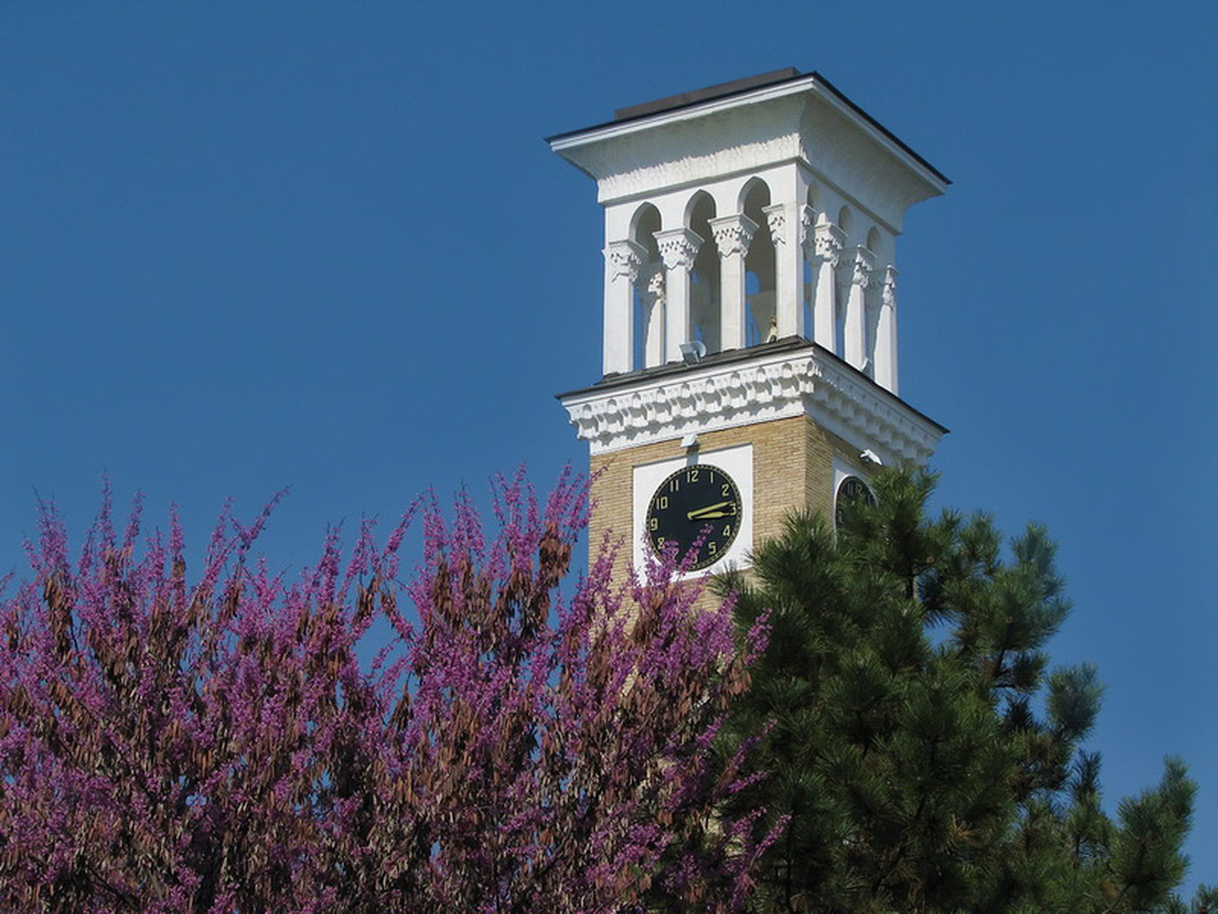 3 май учун об-ҳаво прогнози эълон қилинди