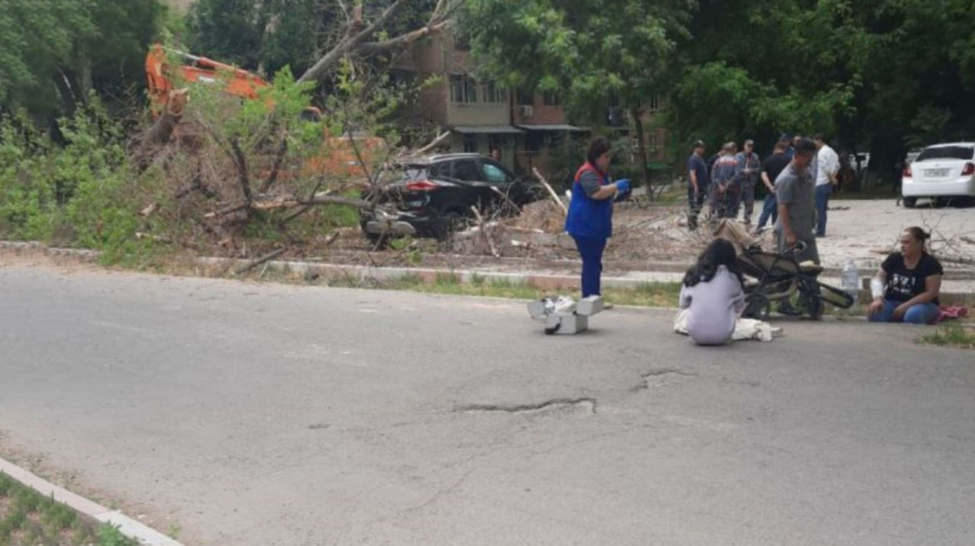 Дарахт босиб қолган қизалоқ иши бўйича жиноий иш очилди