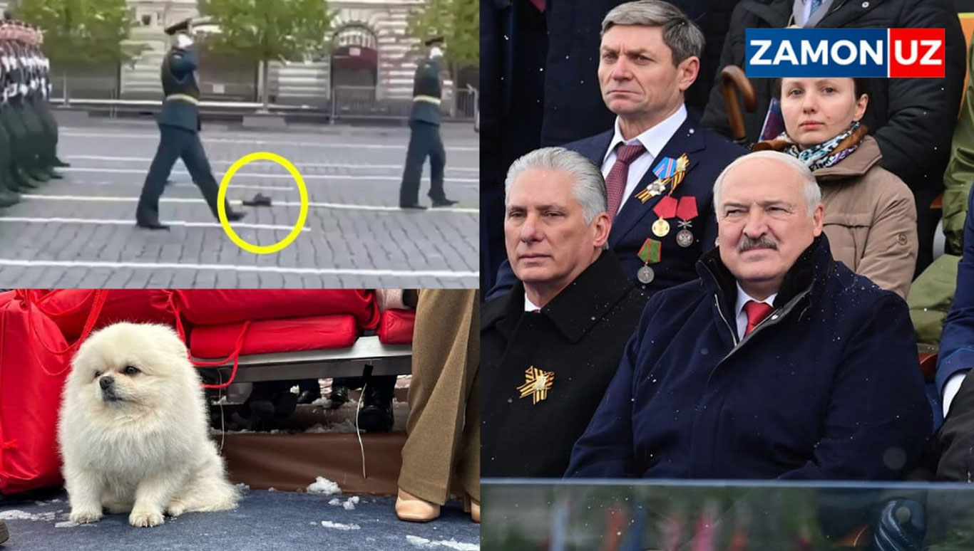 Парадга кучуги билан борган Лукашенко, оёқ кийими йўқолган аскар, Мирзиёев совға қилган куртка...