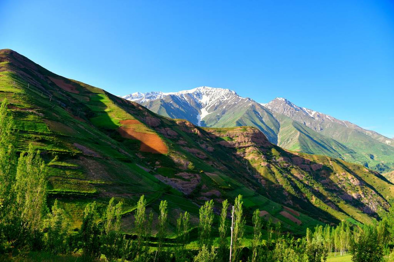 13 май учун об-ҳаво прогнози эълон қилинди