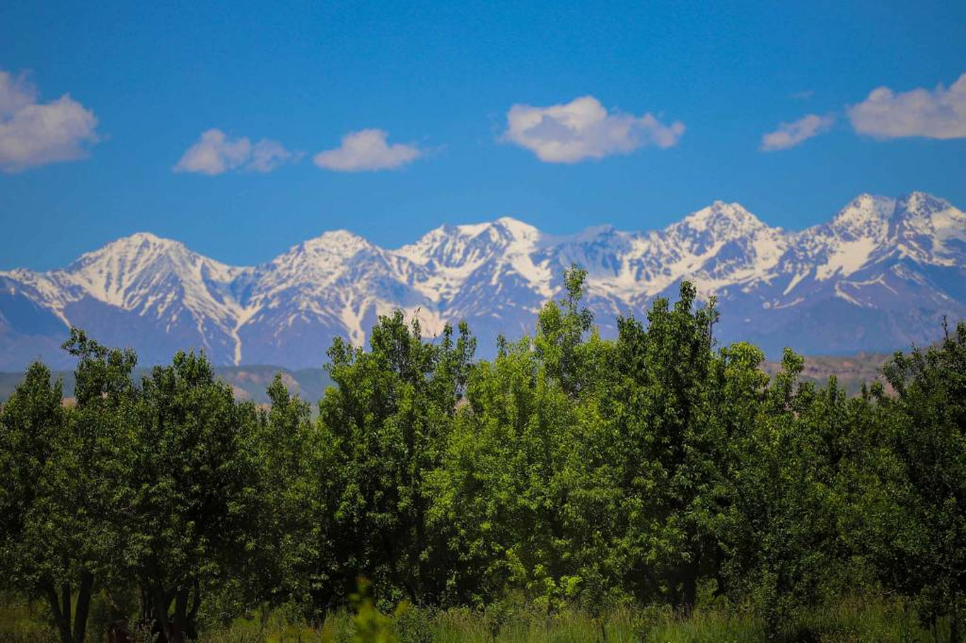 12 июнь учун об-ҳаво прогнози эълон қилинди